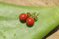 Polished Pair of Red Jasper Stud Earrings - Sold per Pair - From South Africa - Toprock Gemstones and Minerals 