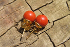 Polished Pair of Red Jasper Stud Earrings - Sold per Pair - From South Africa - Toprock Gemstones and Minerals 