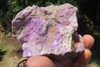 Natural Stichtite Cobbed Specimens x 12 From Barberton, South Africa - Toprock Gemstones and Minerals 