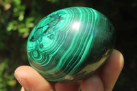 Polished Flower Banded Malachite Gemstone Eggs x 3 From Congo - Toprock Gemstones and Minerals 