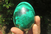 Polished Flower Banded Malachite Gemstone Eggs x 3 From Congo - Toprock Gemstones and Minerals 