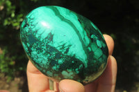 Polished Flower Banded Malachite Gemstone Eggs x 3 From Congo - Toprock Gemstones and Minerals 