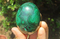 Polished Flower Banded Malachite Gemstone Eggs x 3 From Congo - Toprock Gemstones and Minerals 