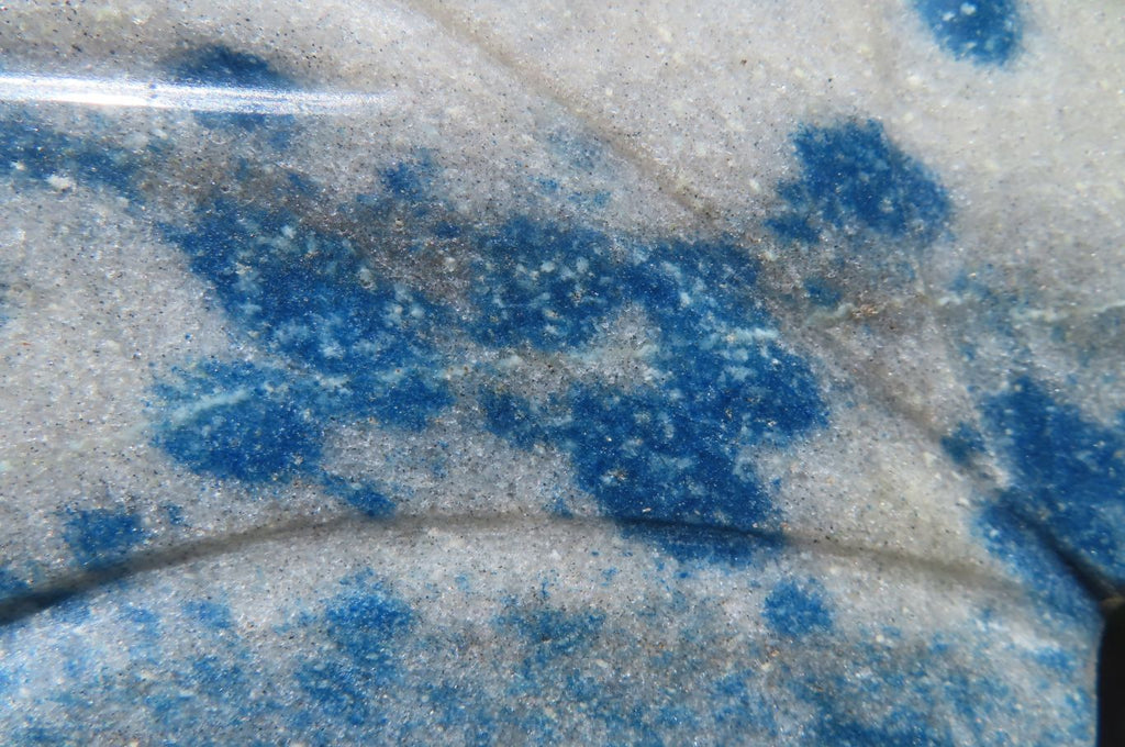 Polished Blue Spotted Spinel Quartz Standing Leaf Carvings x 2 From Madagascar - Toprock Gemstones and Minerals 