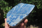 Polished Blue Spotted Spinel Quartz Standing Leaf Carvings x 2 From Madagascar - Toprock Gemstones and Minerals 