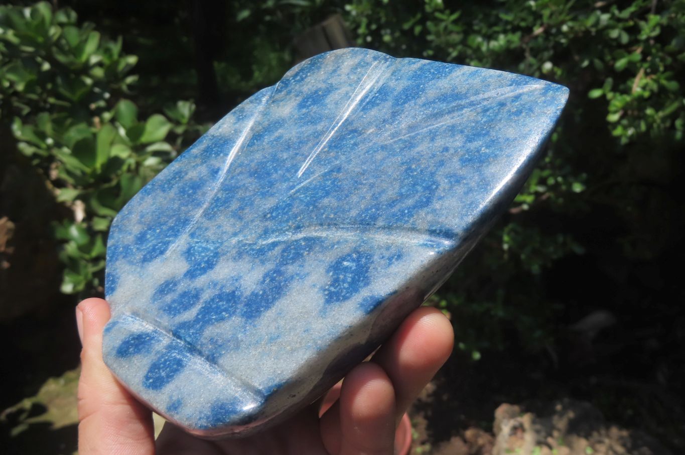 Polished Blue Spotted Spinel Quartz Standing Leaf Carvings x 2 From Madagascar - Toprock Gemstones and Minerals 