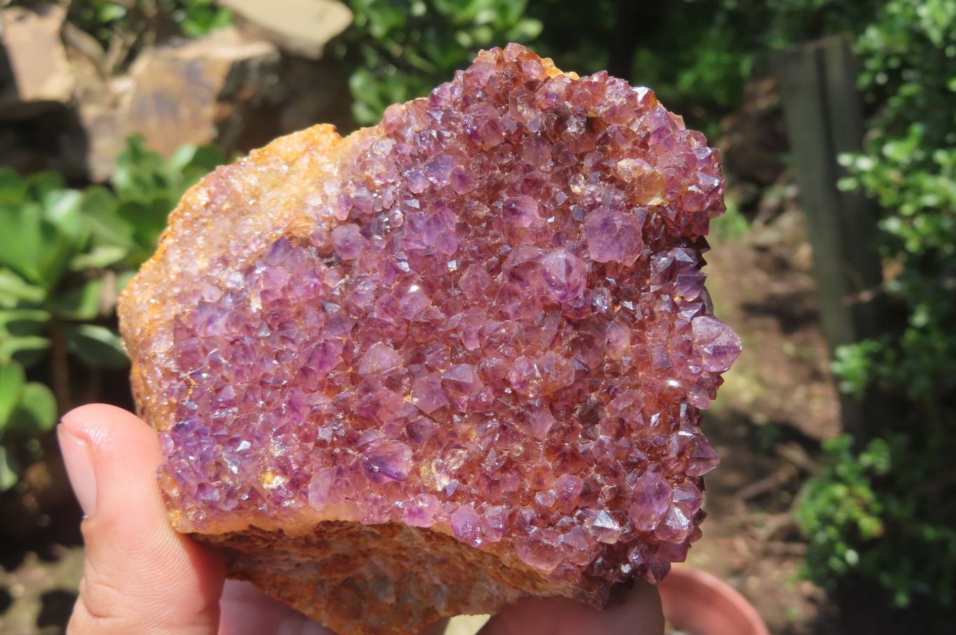 Natural Amethystos Amethyst Clusters x 15 From Kwaggafontein, South Africa - Toprock Gemstones and Minerals 