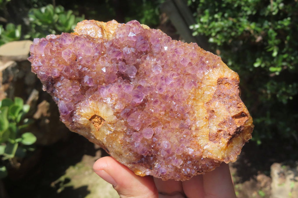 Natural Amethystos Amethyst Clusters x 15 From Kwaggafontein, South Africa - Toprock Gemstones and Minerals 