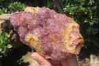Natural Amethystos Amethyst Clusters x 15 From Kwaggafontein, South Africa - Toprock Gemstones and Minerals 