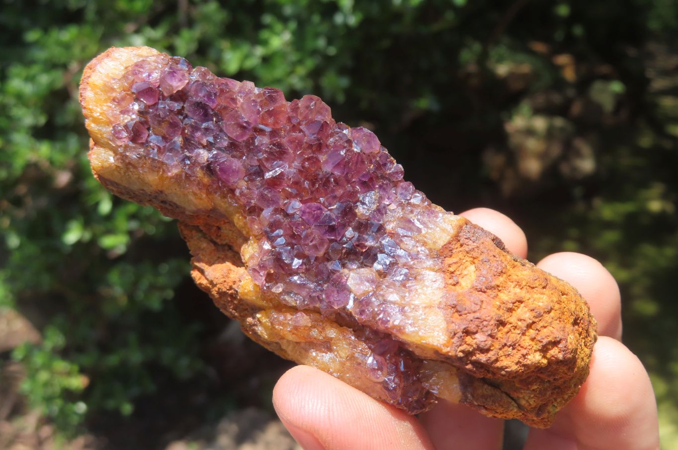 Natural Amethystos Amethyst Clusters x 15 From Kwaggafontein, South Africa - Toprock Gemstones and Minerals 