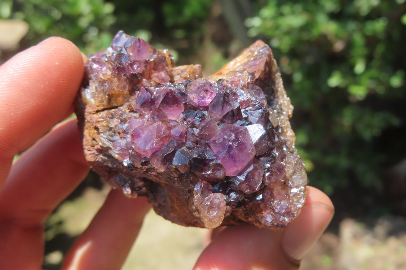 Natural Amethystos Amethyst Clusters x 15 From Kwaggafontein, South Africa - Toprock Gemstones and Minerals 
