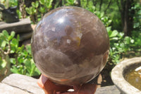 Polished Smokey Quartz Sphere x 1 From Madagascar - Toprock Gemstones and Minerals 