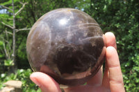 Polished Smokey Quartz Sphere x 1 From Madagascar - Toprock Gemstones and Minerals 