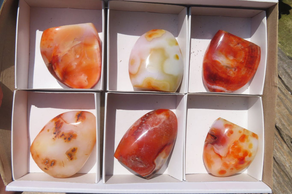 Polished Carnelian Standing Free Forms x 6 From Madagascar - Toprock Gemstones and Minerals 