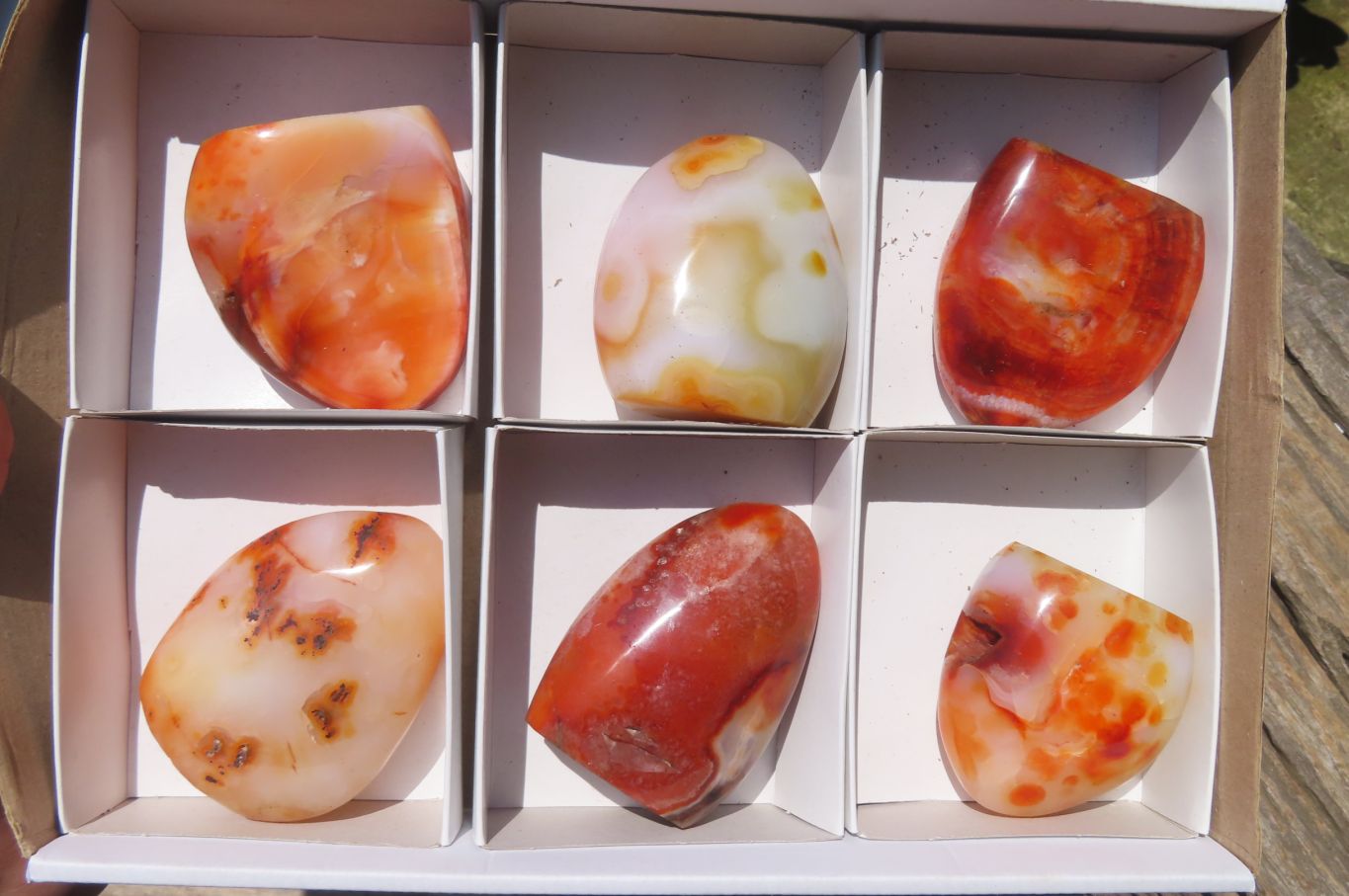Polished Carnelian Standing Free Forms x 6 From Madagascar - Toprock Gemstones and Minerals 