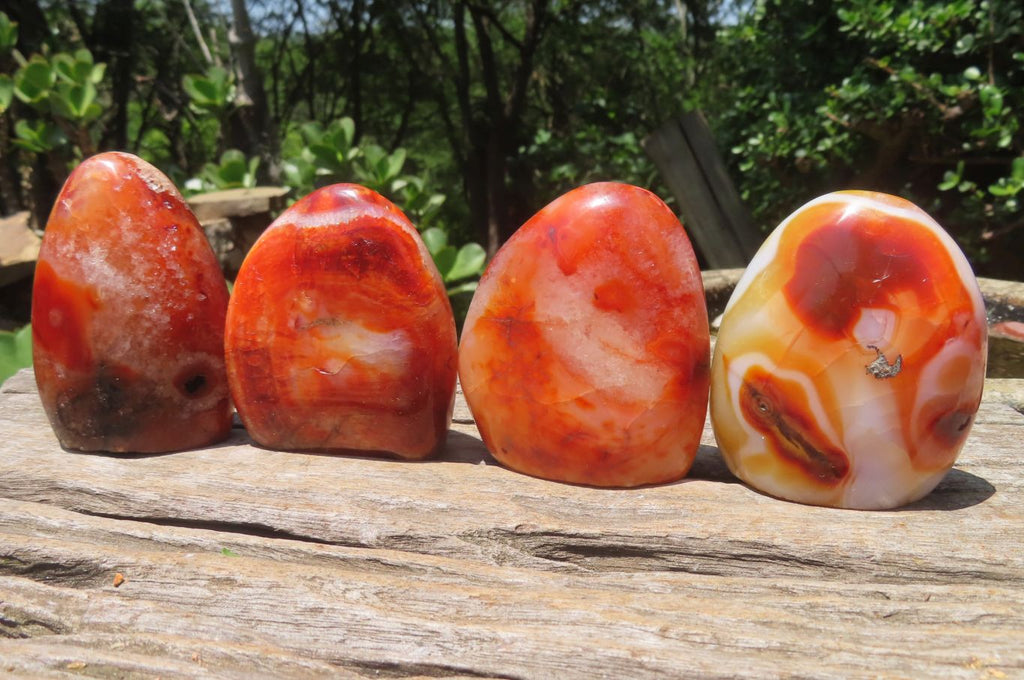 Polished Carnelian Standing Free Forms x 6 From Madagascar - Toprock Gemstones and Minerals 