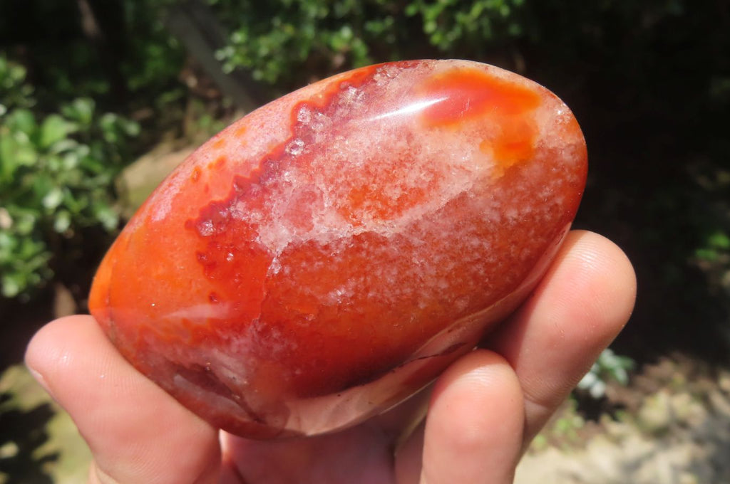 Polished Carnelian Standing Free Forms x 6 From Madagascar - Toprock Gemstones and Minerals 