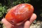 Polished Carnelian Standing Free Forms x 6 From Madagascar - Toprock Gemstones and Minerals 