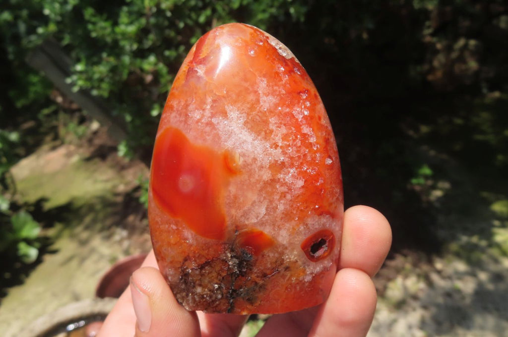 Polished Carnelian Standing Free Forms x 6 From Madagascar - Toprock Gemstones and Minerals 