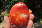 Polished Carnelian Standing Free Forms x 6 From Madagascar - Toprock Gemstones and Minerals 
