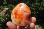Polished Carnelian Standing Free Forms x 6 From Madagascar - Toprock Gemstones and Minerals 