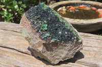 Natural Libethenite Crystals On Dolomite Matrix Specimen x 1 From Shituru, Congo