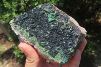 Natural Libethenite Crystals On Dolomite Matrix Specimen x 1 From Shituru, Congo