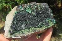 Natural Libethenite Crystals On Dolomite Matrix Specimen x 1 From Shituru, Congo