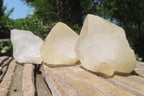 Natural Quartz Crystal Specimens x 24 From Madagascar - Toprock Gemstones and Minerals 