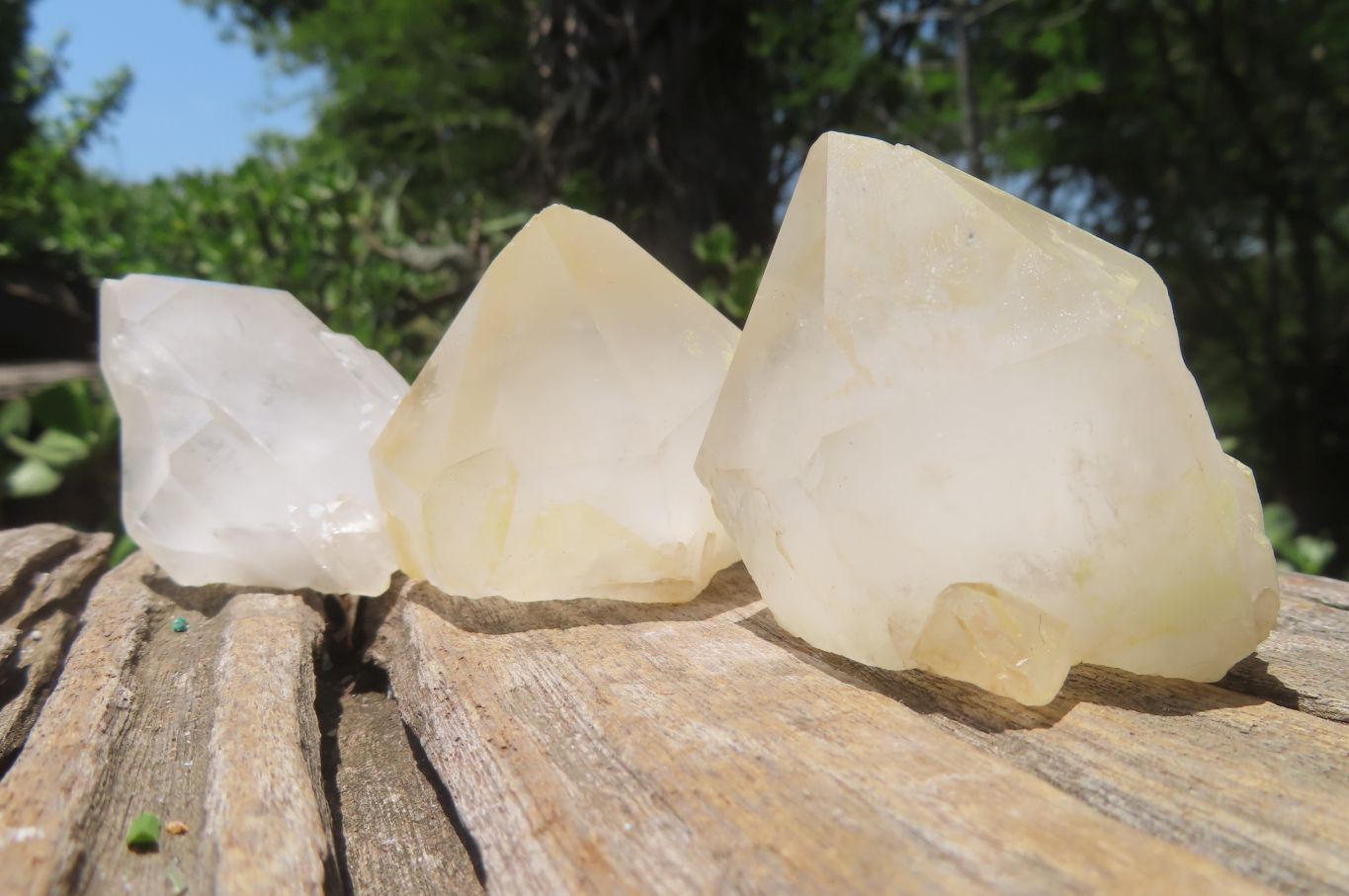 Natural Quartz Crystal Specimens x 24 From Madagascar - Toprock Gemstones and Minerals 