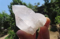 Natural Quartz Crystal Specimens x 24 From Madagascar - Toprock Gemstones and Minerals 