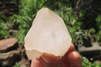 Natural Quartz Crystal Specimens x 24 From Madagascar - Toprock Gemstones and Minerals 