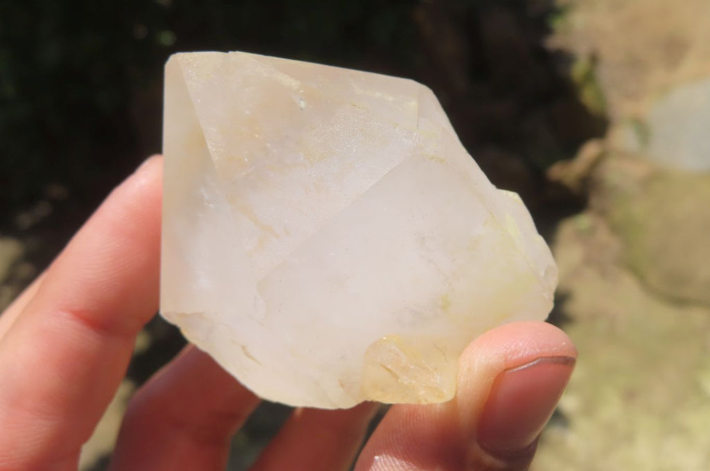 Natural Quartz Crystal Specimens x 24 From Madagascar - Toprock Gemstones and Minerals 