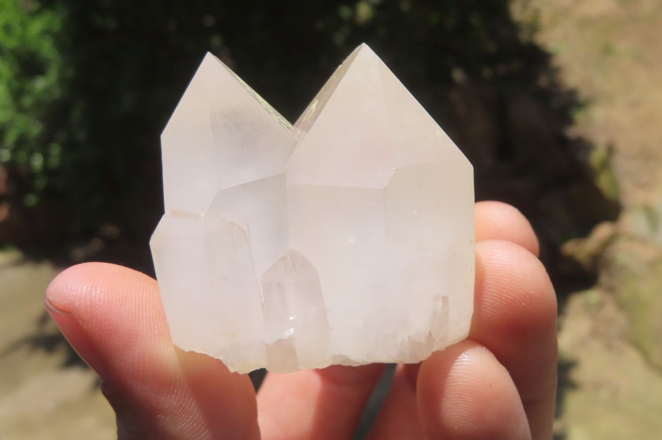 Natural Quartz Crystal Specimens x 24 From Madagascar - Toprock Gemstones and Minerals 