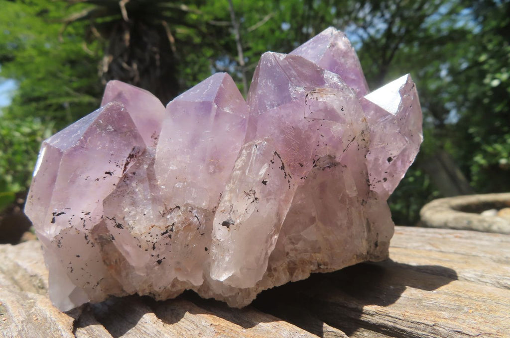 Natural Jacaranda Amethyst Quartz Clusters x 2 from Mumbwa, Zambia - Toprock Gemstones and Minerals 