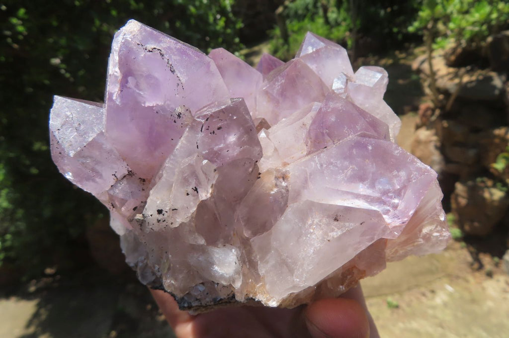Natural Jacaranda Amethyst Quartz Clusters x 2 from Mumbwa, Zambia - Toprock Gemstones and Minerals 