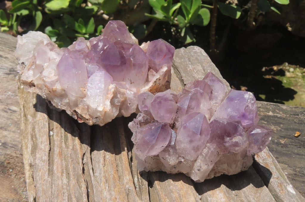 Natural Jacaranda Amethyst Quartz Clusters x 2 from Mumbwa, Zambia - Toprock Gemstones and Minerals 