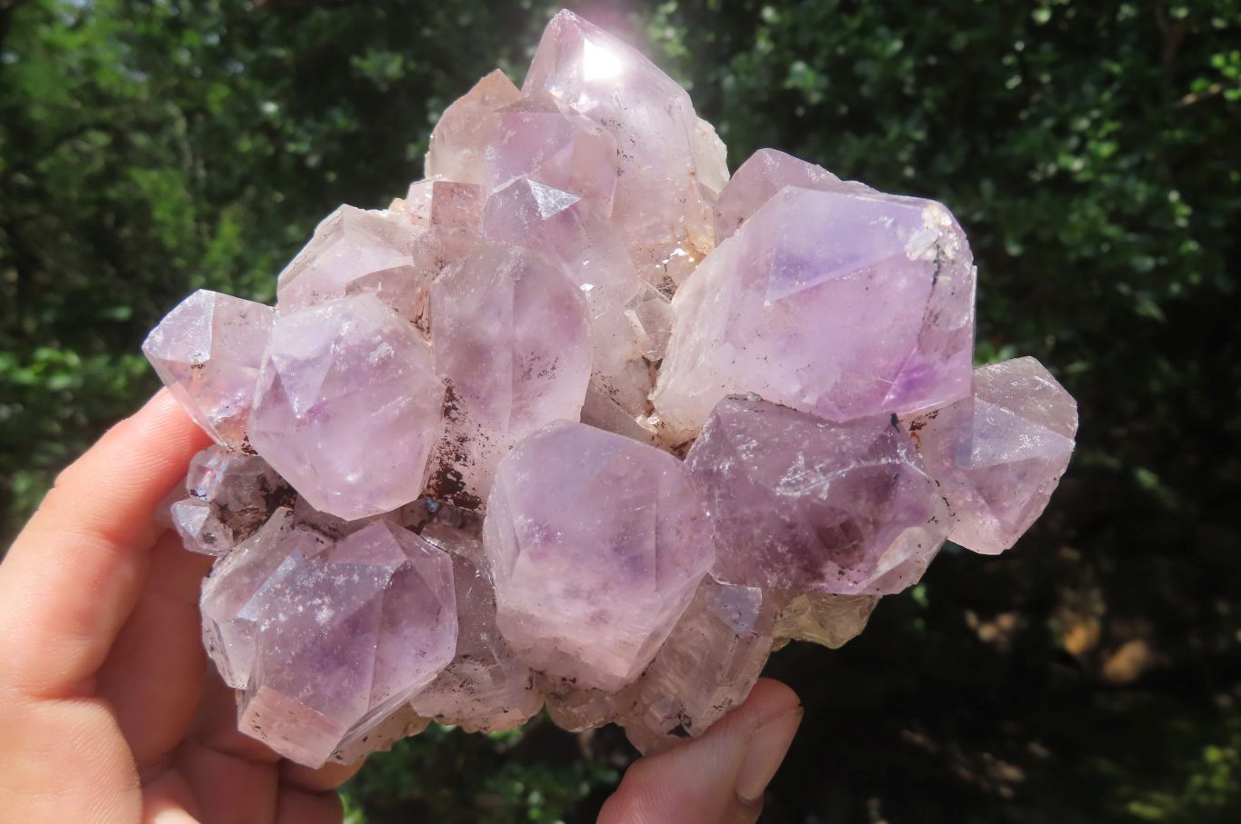 Natural Jacaranda Amethyst Quartz Clusters x 2 from Mumbwa, Zambia - Toprock Gemstones and Minerals 