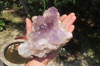 Natural Jacaranda Amethyst Quartz Clusters x 2 from Mumbwa, Zambia - Toprock Gemstones and Minerals 