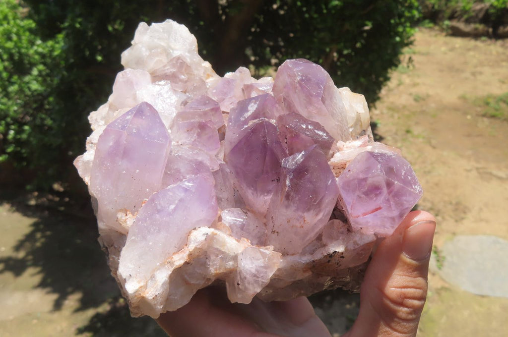 Natural Jacaranda Amethyst Quartz Clusters x 2 from Mumbwa, Zambia - Toprock Gemstones and Minerals 