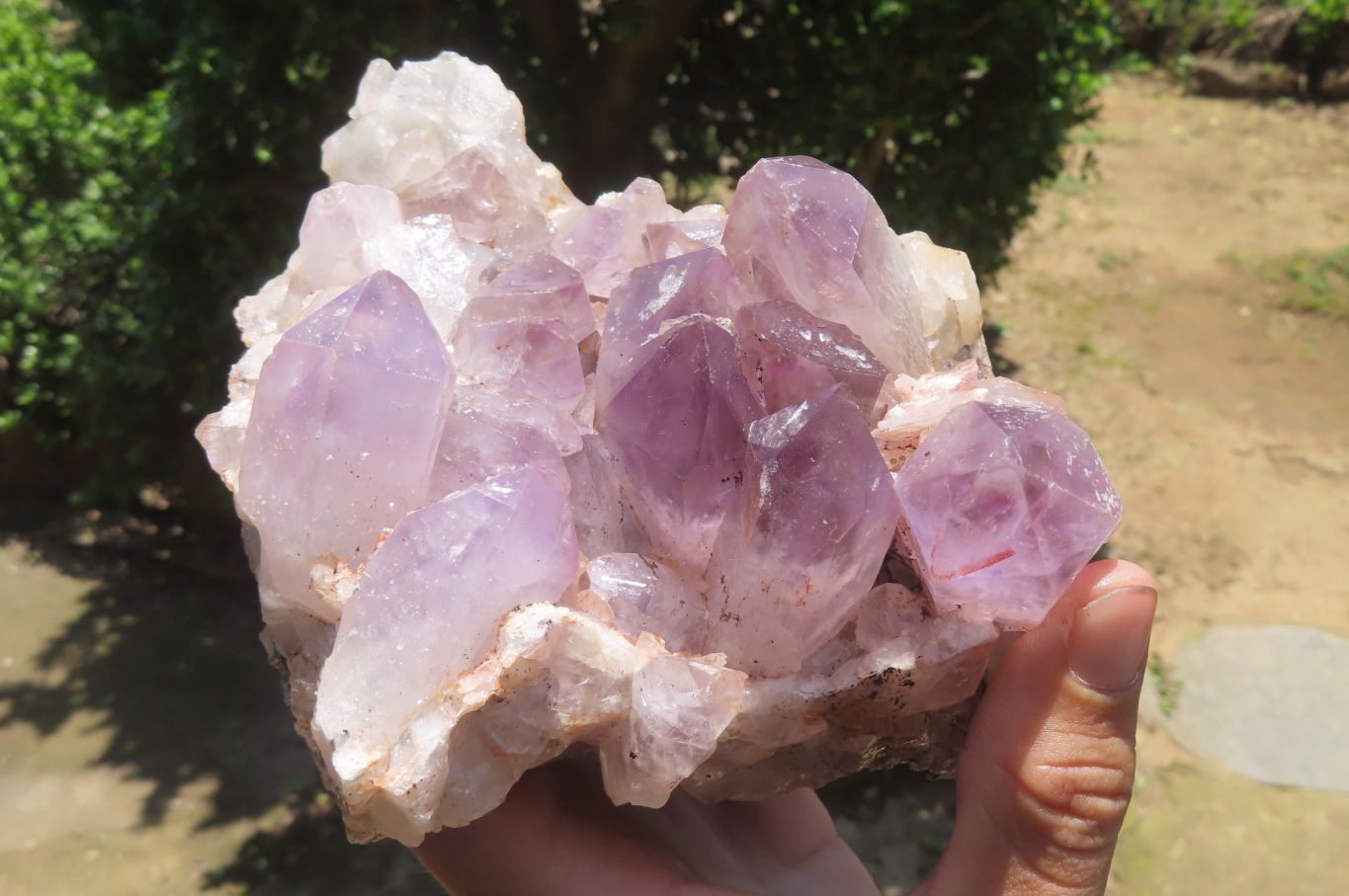 Natural Jacaranda Amethyst Quartz Clusters x 2 from Mumbwa, Zambia - Toprock Gemstones and Minerals 
