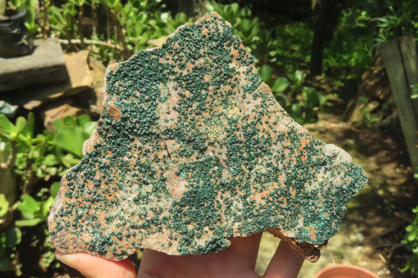 Natural Botryoidal Malachite Specimens x 3 From Tenke Fungurume, Congo - Toprock Gemstones and Minerals 