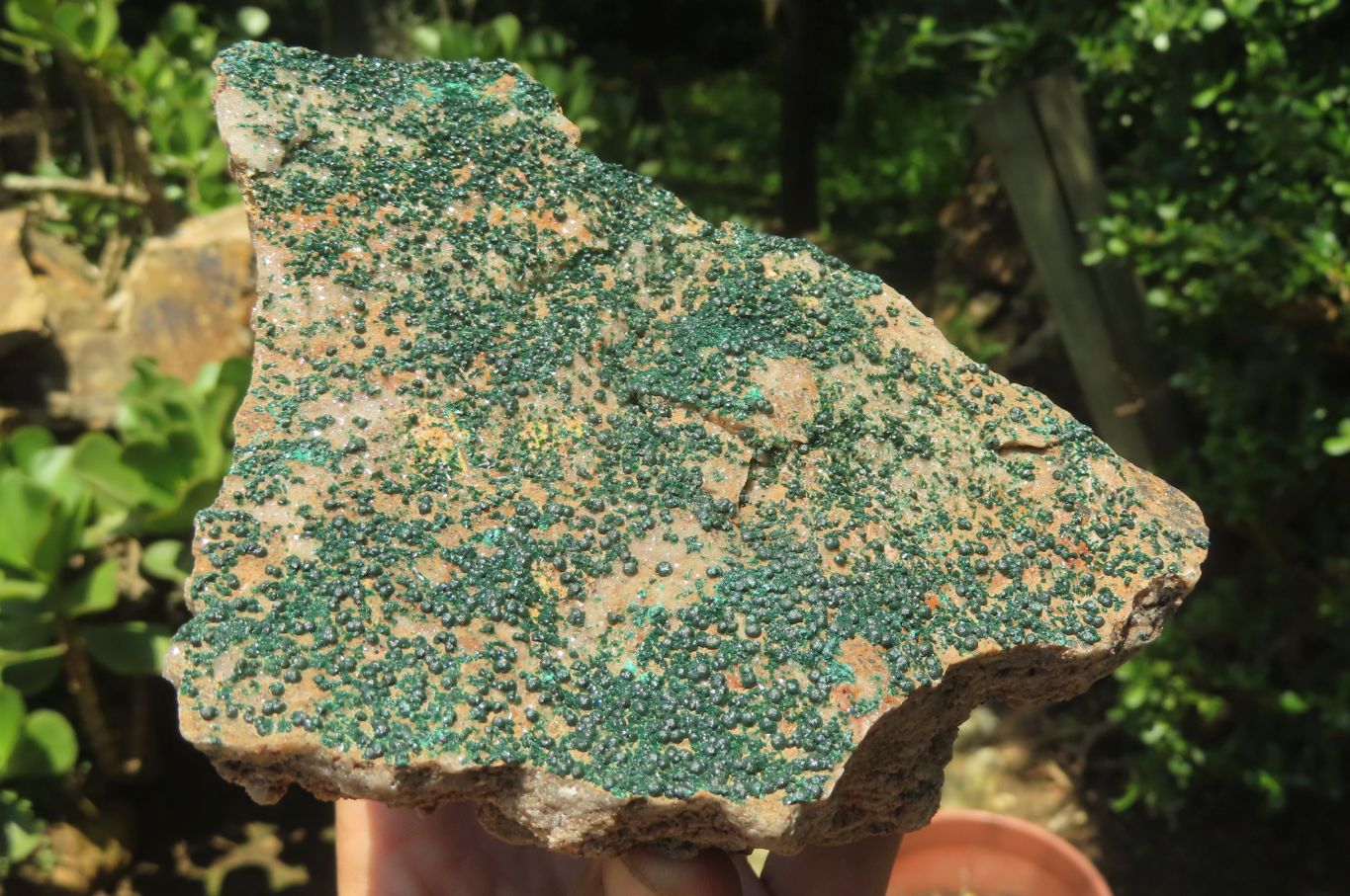 Natural Botryoidal Malachite Specimens x 3 From Tenke Fungurume, Congo - Toprock Gemstones and Minerals 