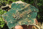 Natural Botryoidal Malachite Specimens x 3 From Tenke Fungurume, Congo - Toprock Gemstones and Minerals 
