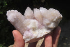 Natural Spirit Quartz Clusters x 4 From Boekenhouthoek, South Africa - Toprock Gemstones and Minerals 