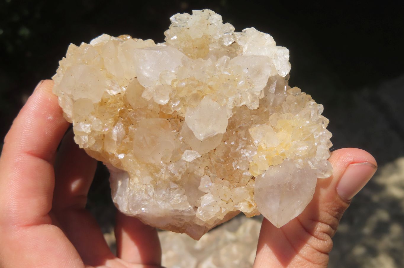 Natural Spirit Quartz Clusters x 4 From Boekenhouthoek, South Africa - Toprock Gemstones and Minerals 