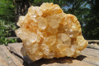 Natural Limonite Quartz Clusters x 12 From Solwezi, Zambia - Toprock Gemstones and Minerals 