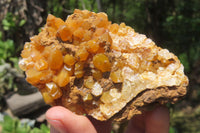Natural Limonite Quartz Clusters x 12 From Solwezi, Zambia - Toprock Gemstones and Minerals 