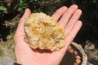 Natural Limonite Quartz Clusters x 12 From Solwezi, Zambia - Toprock Gemstones and Minerals 