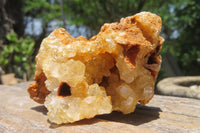 Natural Limonite Quartz Clusters x 12 From Solwezi, Zambia - Toprock Gemstones and Minerals 